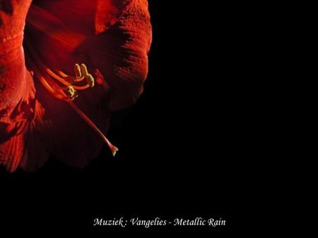 Muziek : Vangelies - Metallic Rain