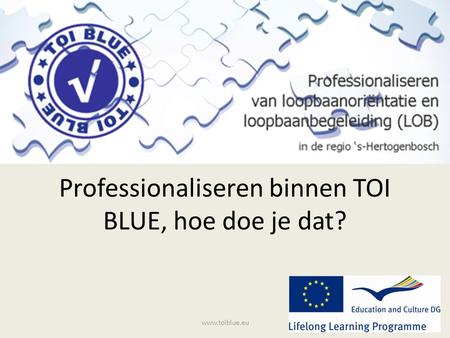 Professionaliseren binnen TOI BLUE, hoe doe je dat? www.toiblue.eu.