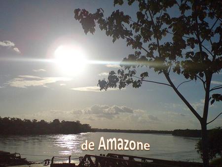 De Amazone.