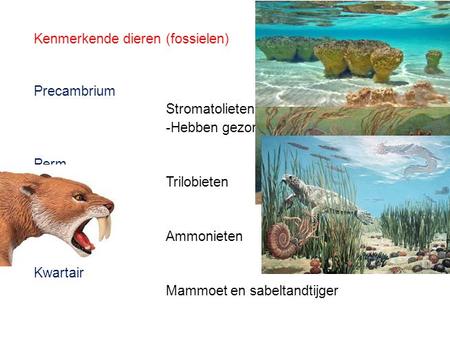 Kenmerkende dieren (fossielen)