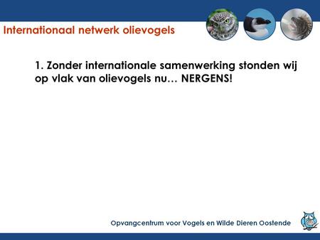 1. Zonder internationale samenwerking stonden wij op vlak van olievogels nu… NERGENS! Internationaal netwerk olievogels Opvangcentrum voor Vogels en Wilde.