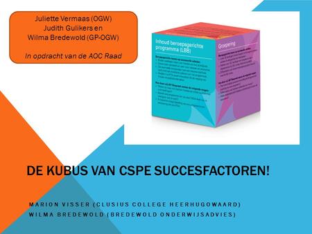 De kubus van CSPE succesfactoren!