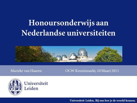 Honoursonderwijs aan Nederlandse universiteiten