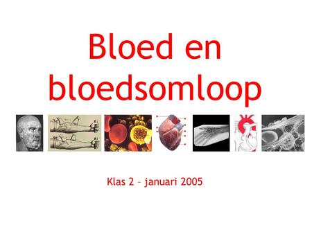 Bloed en bloedsomloop Klas 2 – januari 2005.