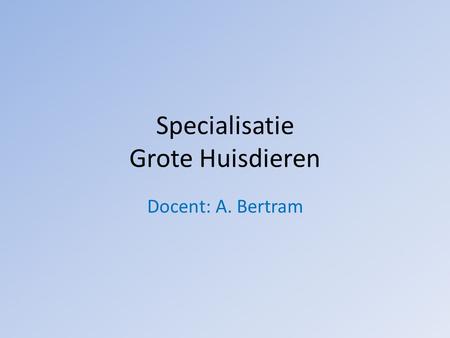 Specialisatie Grote Huisdieren Docent: A. Bertram.