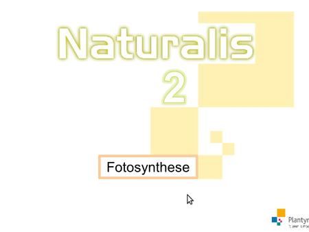 Fotosynthese.
