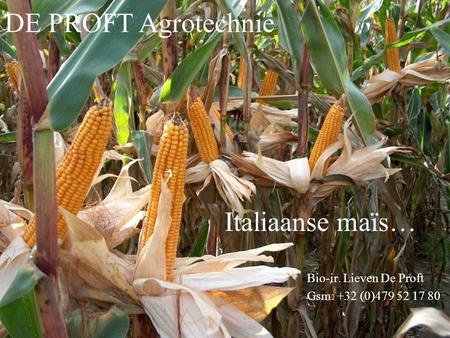 Bio-ir. Lieven De Proft Gsm: +32 (0)479 52 17 80 Italiaanse maïs… DE PROFT Agrotechnie.