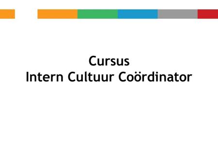 Cursus Intern Cultuur Coördinator