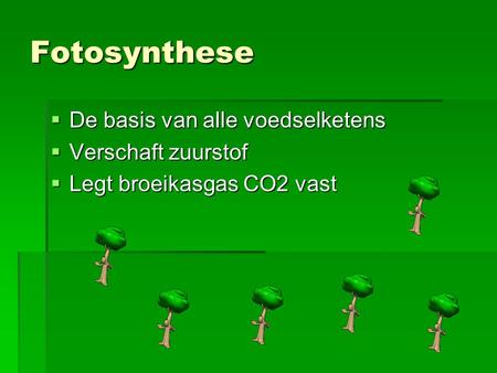 Fotosynthese De basis van alle voedselketens Verschaft zuurstof