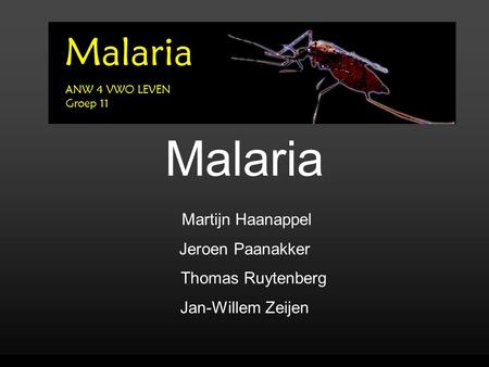 Malaria Martijn Haanappel Jeroen Paanakker Thomas Ruytenberg