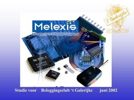Studie voor Beleggingsclub ‘t Galerijke juni 2002.