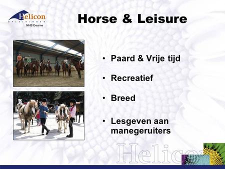 Horse & Leisure Paard & Vrije tijd Recreatief Breed