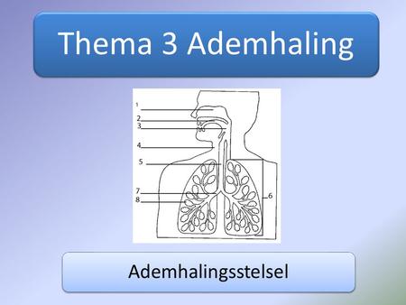 Thema 3 Ademhaling Ademhalingsstelsel.
