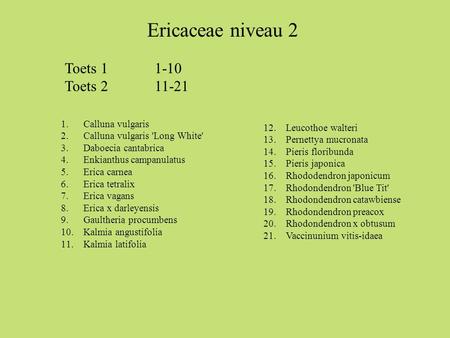 Ericaceae niveau 2 Toets Toets Calluna vulgaris