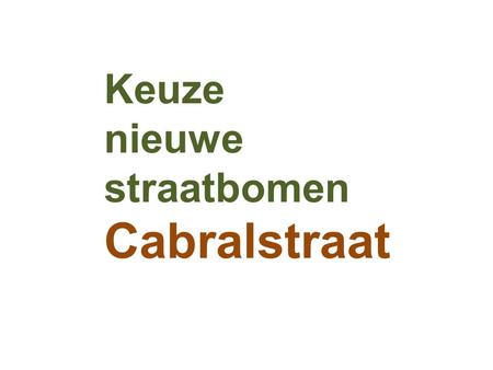 Keuze nieuwe straatbomen Cabralstraat.