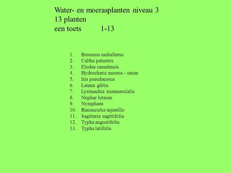Water- en moerasplanten niveau 3 13 planten een toets 1-13