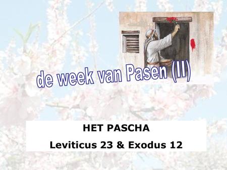 De week van Pasen (II) HET PASCHA Leviticus 23 & Exodus 12.