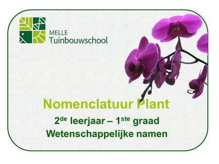 2 de leerjaar – 1 ste graad Wetenschappelijke namen Nomenclatuur Plant.