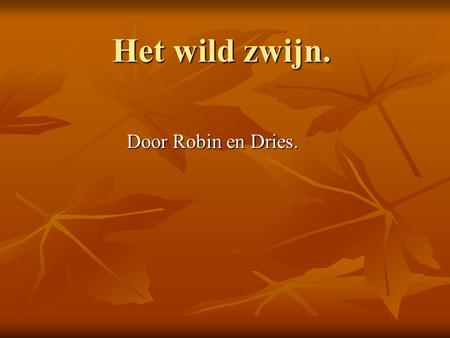 Het wild zwijn. Door Robin en Dries..