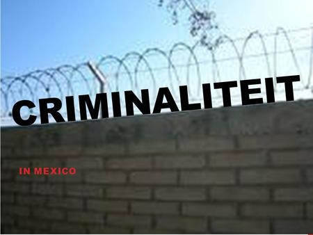 Criminaliteit In mexico.
