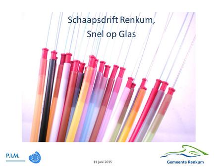 Schaapsdrift Renkum, Snel op Glas 11 juni 2015. Te bespreken 1.Planning realisatie 2.Beheer netwerk in Stichting? 3.Aansluitmogelijkheden en kosten 4.Voorlopige.