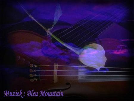 Muziek : Bleu Mountain.