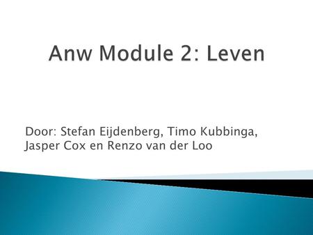 Door: Stefan Eijdenberg, Timo Kubbinga, Jasper Cox en Renzo van der Loo.