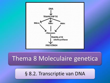 Thema 8 Moleculaire genetica
