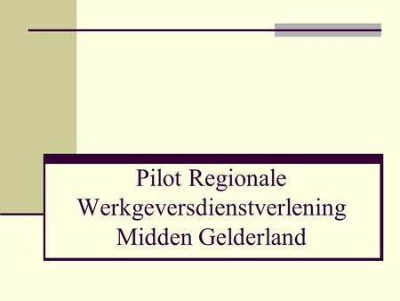 Pilot Regionale Werkgeversdienstverlening Midden Gelderland.