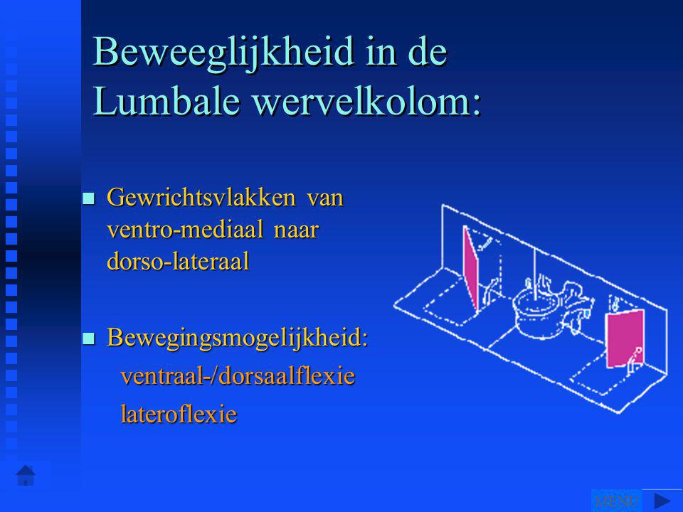 Wervelkolom En Romp Ppt Video Online Download