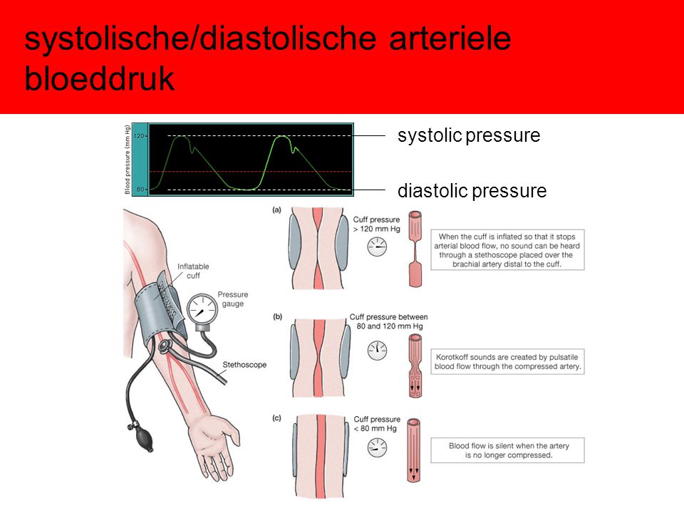 Diastolische Bloeddruk