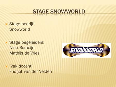 Stage Snowworld Stage bedrijf: Snowworld