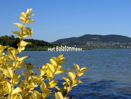 Het Balatonmeer is het grootste meer (592 km²) van Midden-Europa. Het meer ligt in het westen van Hongarije en heeft een langgerekte vorm...