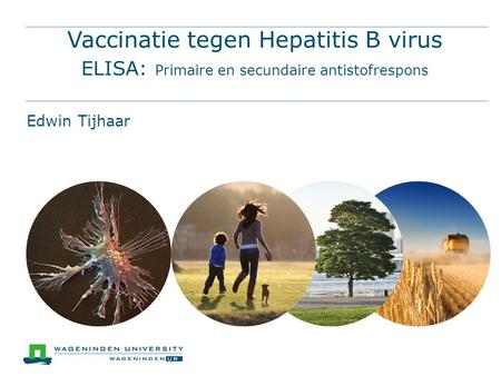 Vaccinatie tegen Hepatitis B virus ELISA: Primaire en secundaire antistofrespons Edwin Tijhaar.