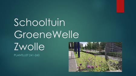 Schooltuin GroeneWelle Zwolle