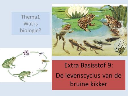 Extra Basisstof 9: De levenscyclus van de bruine kikker