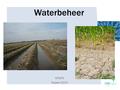 Waterbeheer HPSP5 Najaar 2015. Watervoorziening en gewasproductie Belang van water voor planten (gras) – Voor de productie van koolhydraten (fotosynthese)