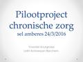 Pilootproject chronische zorg sel amberes 24/3/2016 Voorstel stuurgroep LMN-Antwerpen Berchem.
