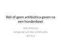 Wel of geen antibiotica geven na een hondenbeet Jelle Kolkman Aiosgroep van Alex en Marielle 307313.