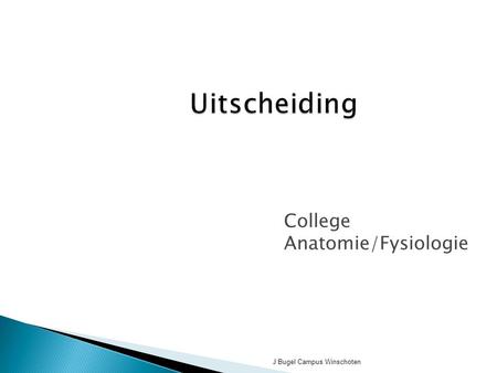College Anatomie/Fysiologie