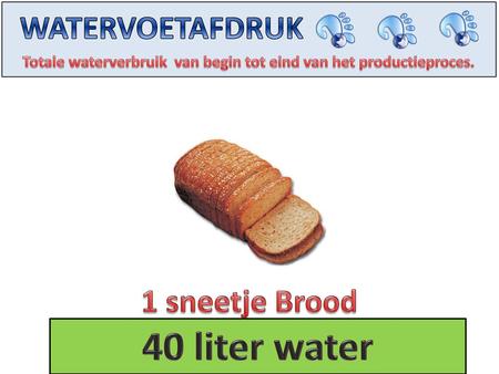 40 liter water WATERVOETAFDRUK 1 sneetje Brood