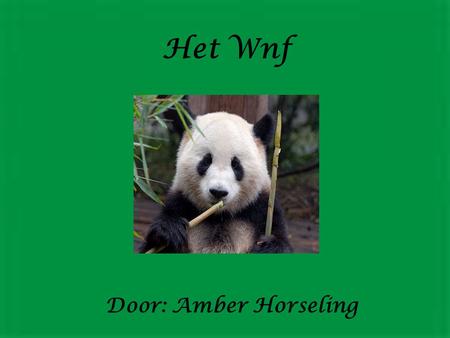 Het Wnf Door: Amber Horseling.