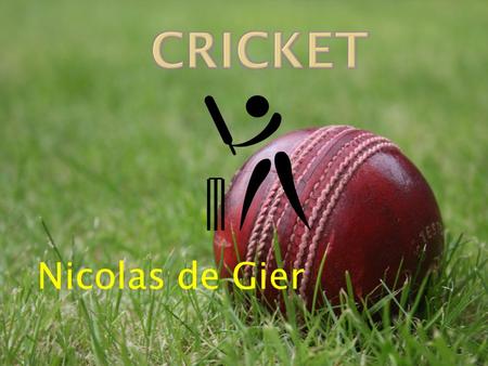 Cricket Nicolas de Gier.