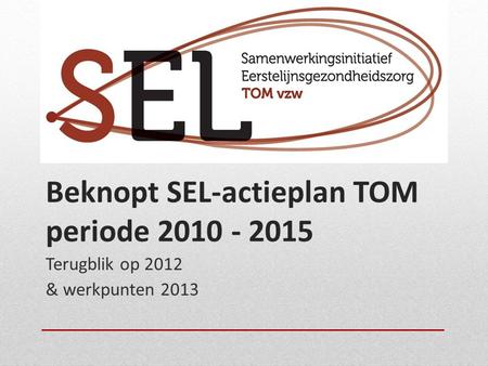 Beknopt SEL-actieplan TOM periode 2010 - 2015 Terugblik op 2012 & werkpunten 2013.