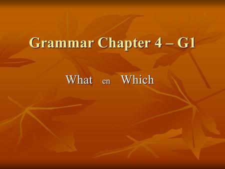 Grammar Chapter 4 – G1 What en Which.