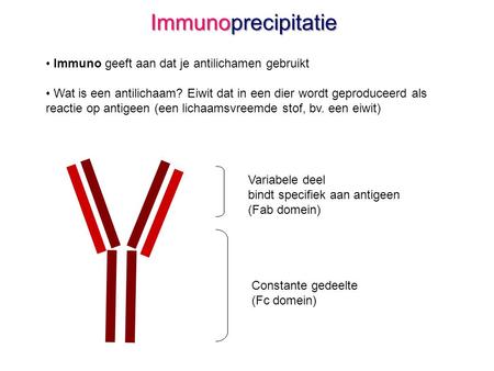 Immunoprecipitatie Immuno geeft aan dat je antilichamen gebruikt