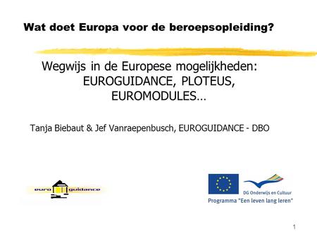 1 Wat doet Europa voor de beroepsopleiding? Wegwijs in de Europese mogelijkheden: EUROGUIDANCE, PLOTEUS, EUROMODULES… Tanja Biebaut & Jef Vanraepenbusch,
