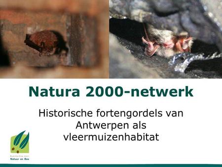 Natura 2000-netwerk Historische fortengordels van Antwerpen als vleermuizenhabitat.