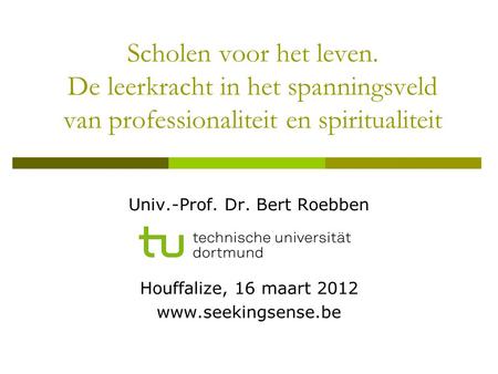 Univ.-Prof. Dr. Bert Roebben