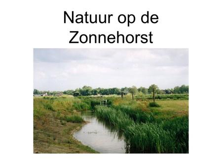 Natuur op de Zonnehorst. Natuur op het bedrijf Natuurbeheer op de Zonnehorst In de loop van de jaren is er van alles gedaan om de natuur op het bedrijf.